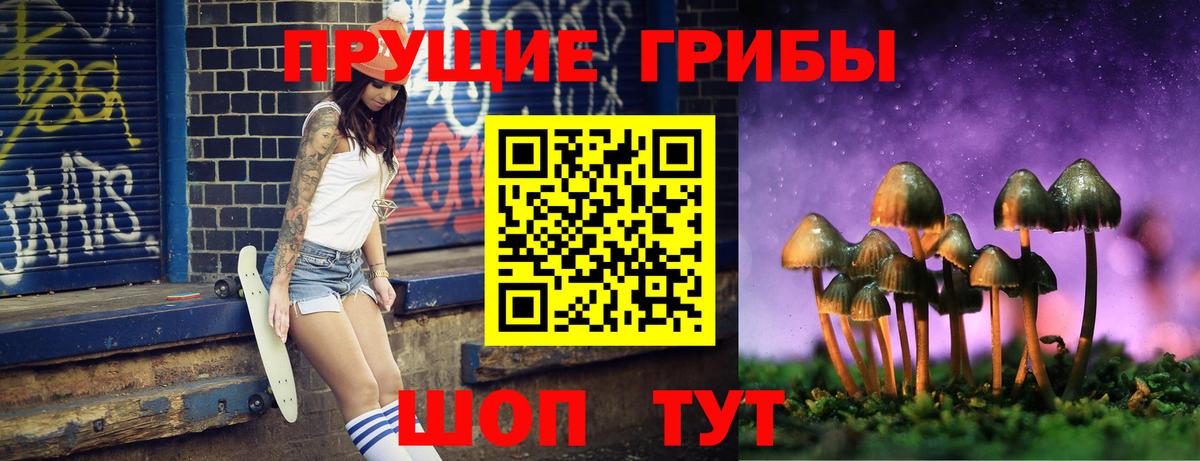 Псилоцибиновые грибы прущие грибы Дзержинск